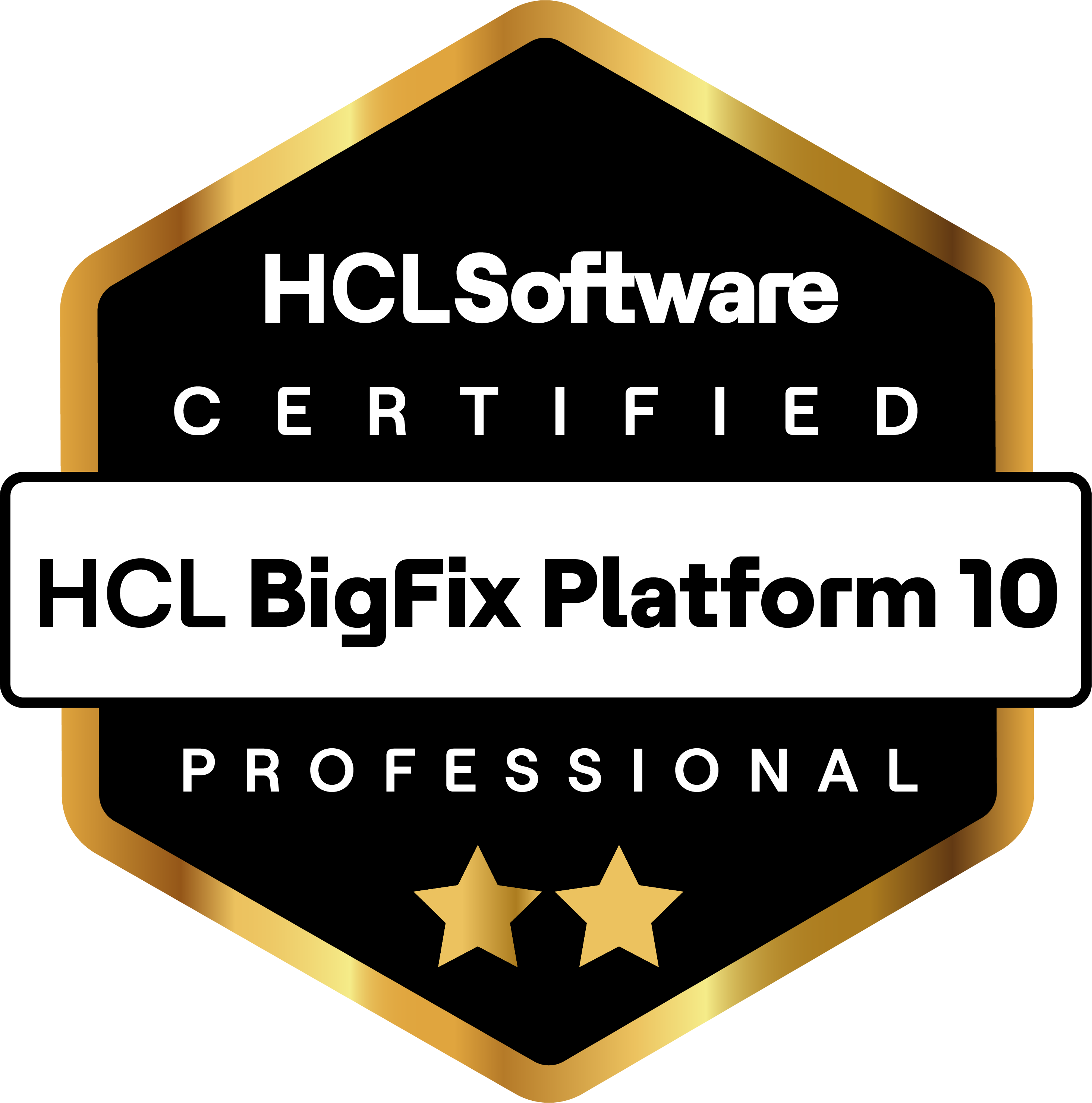 18 BidFix Platform10 Pro