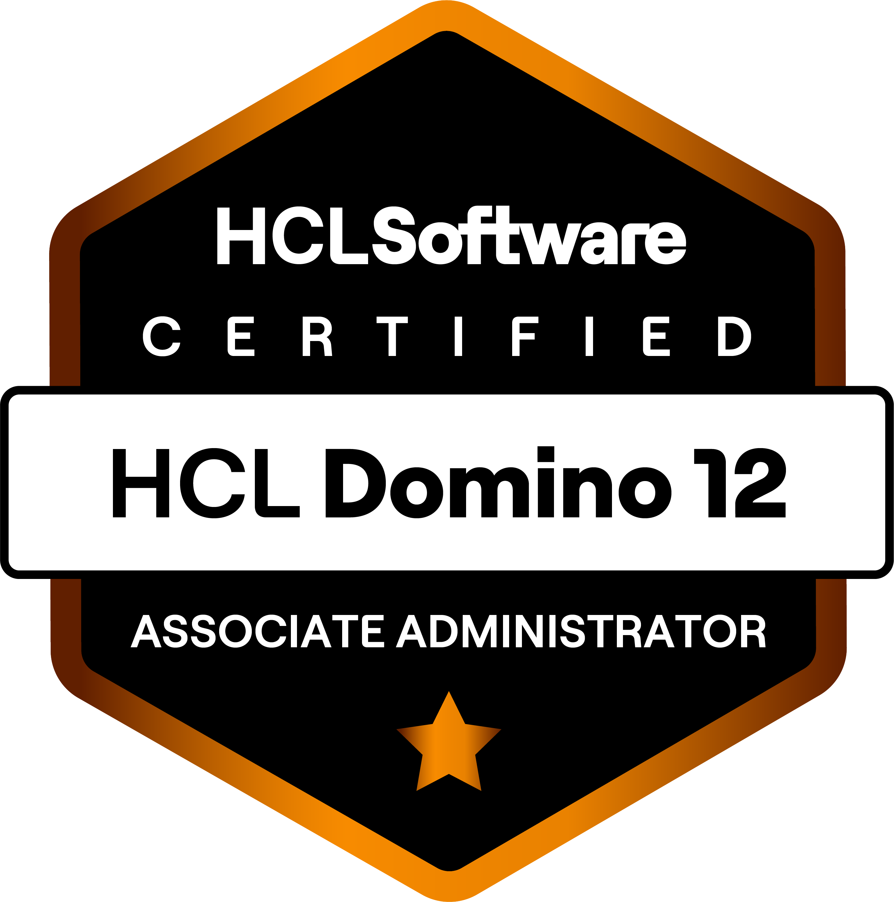 Associate Domino12 Adm